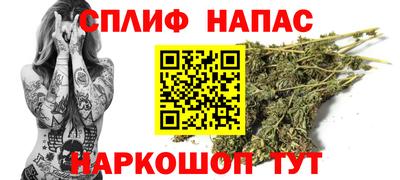 сатива Тара