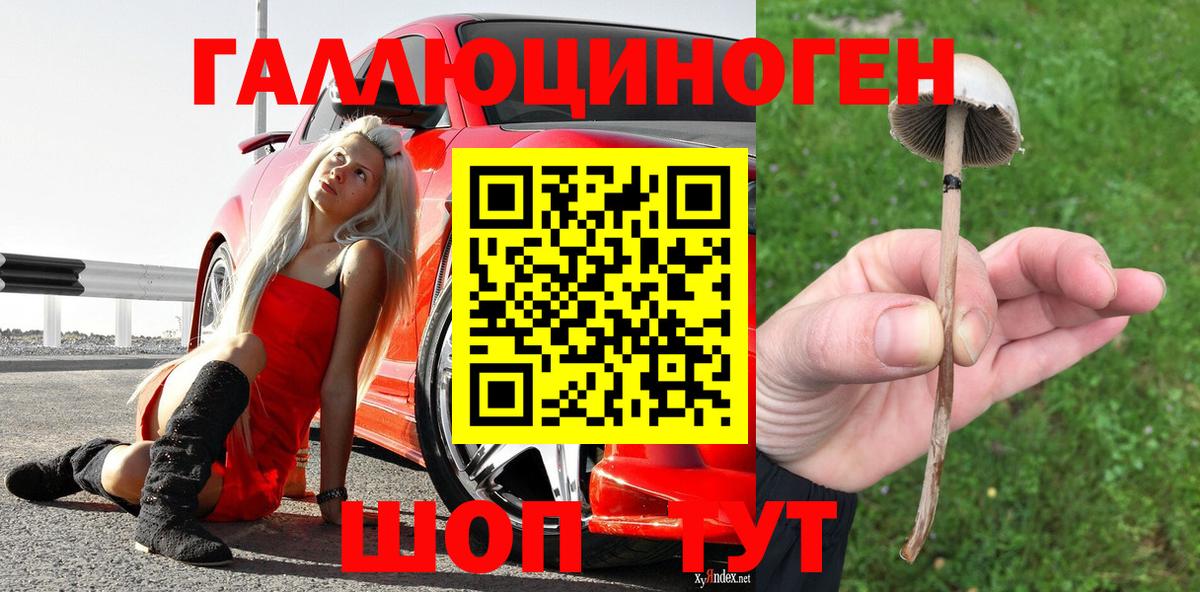 Алушта  Галлюциногенные грибы Psilocybe  Галлюциногенные грибы ЛСД  Вход с VPN 