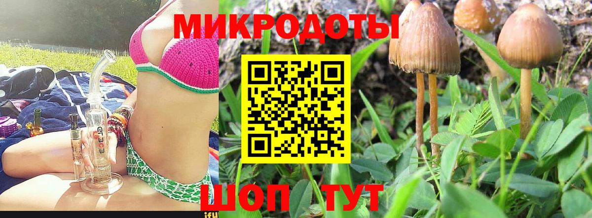 Псилоцибиновые грибы мухоморы Алушта